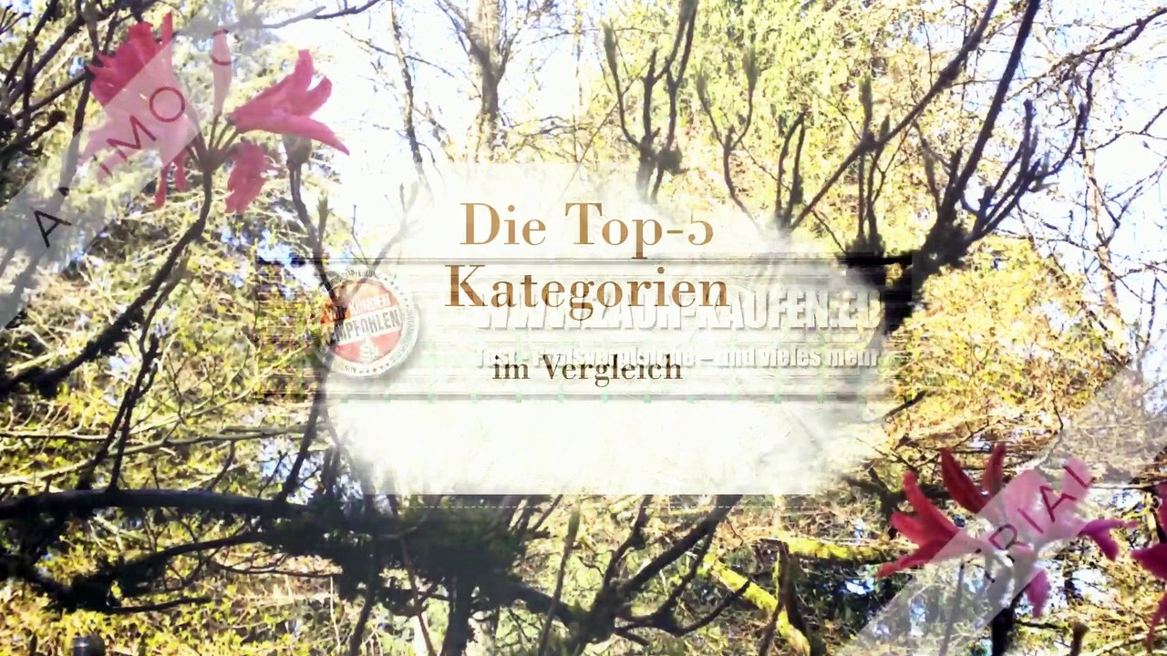 Gartenzäune kaufen - Die Top-5 Kategorien im Vergleich