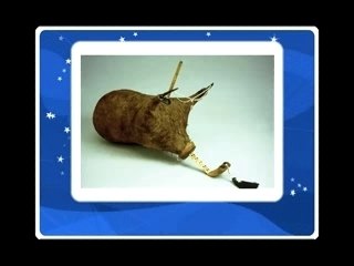 Salah-ben-ammar : Ech Bik sakit