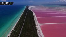 Dron grabó espectaculares playas de color rosa en México