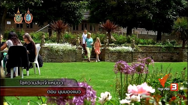 ท่องโลกกว้าง วันที่ 22 สิงหาคม 2559 [Cats Uncovered]