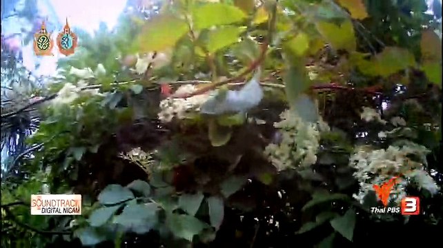 ท่องโลกกว้าง วันที่ 24 สิงหาคม 2559 [Cats Uncovered]