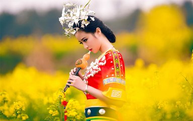 Canola Flower Fields China