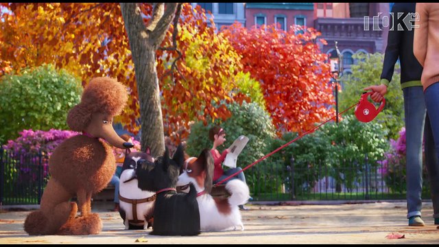 КиноNews. Тайная жизнь домашних животных