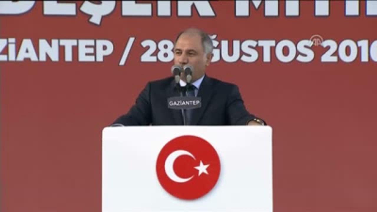 Birlik, Beraberlik ve Kardeşlik Mitingi" - İçişleri Bakanı Efkan Ala