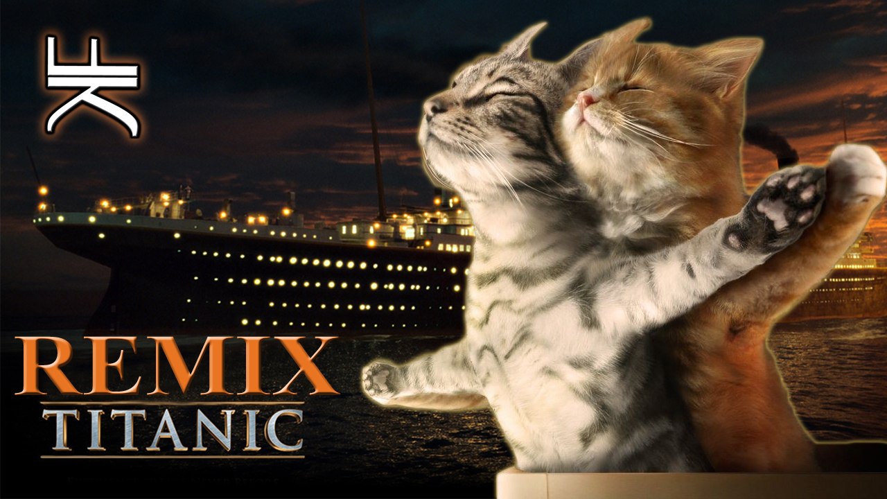 Titanic cat. Кот Титаник. Кошачий Титаник. Титаник с котами. Кошачья версия Титаника.