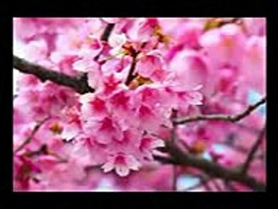إن الله وملائكته يصلون على النبي القارئ ياسر الدوسري