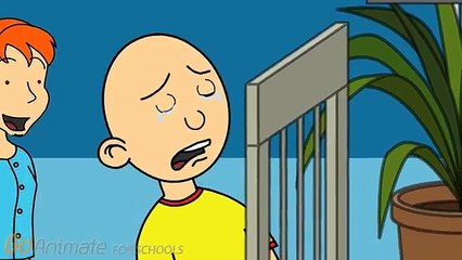 Rosie kicks Caillou in the balls/Grounded