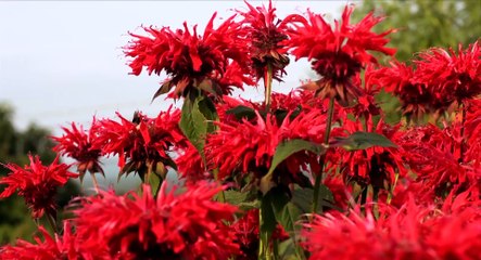 Welcome To Happy Valley