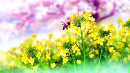 너에게 닿기를 2기 - 2화