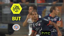But Daniel CONGRE (22ème) / Montpellier Hérault SC - Stade Rennais FC - (1-1) - (MHSC-SRFC) / 2016-17