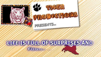 Life is full of surprises and funny moments that make you laugh - Funny compilation