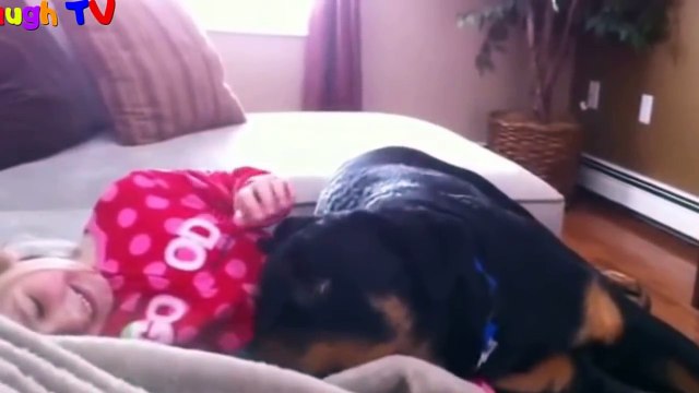 Top 10 Best Of Cute RottWeiler And Babies Playing Videos Compilation - Funny Dog And Baby Videos