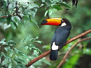 No me vuelvo a enamorar. Recordando a Juan Gabriel