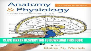 Collection Book Anatomy   Physiology Coloring Workbook: A Complete Study Guide