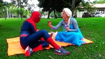 Frozen Elsa vs Spiderman vs Hulk - SUPERHEROES at PICNIC - Funny Superhero Movie in Real Life IRL