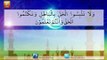 Surat - Al Baqarah - Ayat - 42 - Surah Al Baqarah