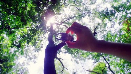 Pokémon Sun & Moon - Every Day is an Adventure Trailer (JP)