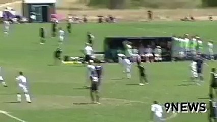 Ludi gol