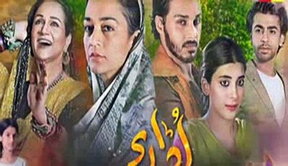 Udaari Episode 22 Promo Hum TV Drama 28th August 2016