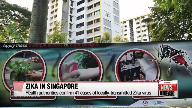 Singaporean authorities confirm 41 cases of locally-transmitted Zika