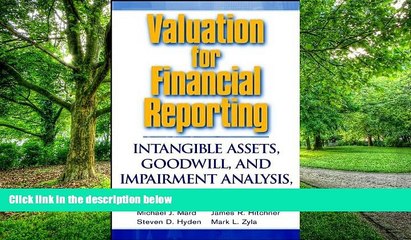 Big Deals  Valuation for Financial Reporting: Intangible Assets, Goodwill, and Impairment