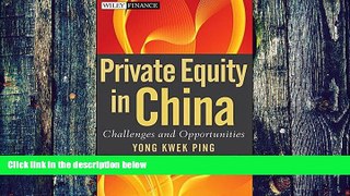 Big Deals  Private Equity in China: Challenges and Opportunities  Free Full Read Best Seller