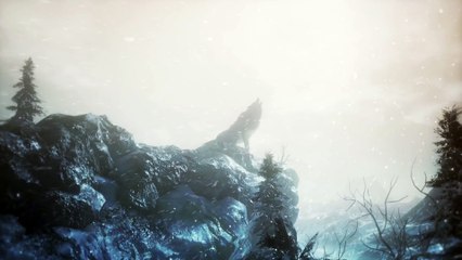 Dark Souls 3 Ashes of Ariandel DLC Trailer