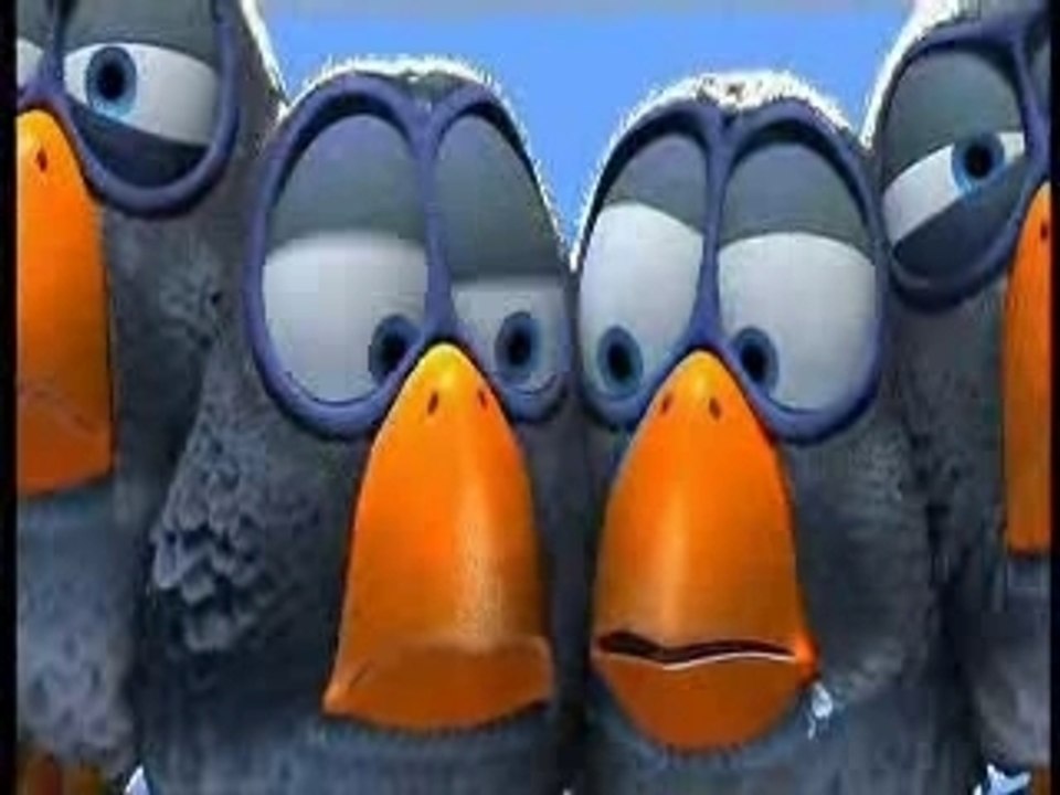 Birds