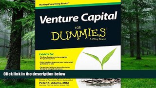 Big Deals  Venture Capital For Dummies  Best Seller Books Most Wanted