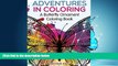 For you Adventures in Coloring: A Butterfly Ornament Coloring Book (Butterfly Ornaments and Art