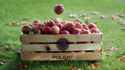 Polsat- jingles (autumn 2016) [1]