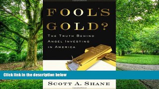 Big Deals  Fool s Gold?: The Truth Behind Angel Investing in America (Financial Management