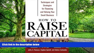 Big Deals  How to Raise Capital : Techniques and Strategies for Financing and Valuing your Small