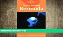Free [PDF] Downlaod  Diving   Snorkeling Guide to Bermuda (Lonely Planet Diving and Snorkeling