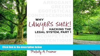 Big Deals  Why Lawyers Suck!: Hacking the Legal System, Part 1  Free Full Read Most Wanted