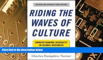 Big Deals  Riding the Waves of Culture: Understanding Diversity in Global Business 3/E  Free Full