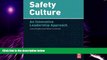 Big Deals  Safety Culture: An Innovative Leadership Approach  Free Full Read Best Seller