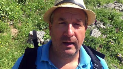 Une belle découverte musicale