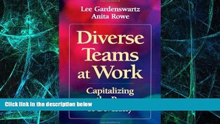 Big Deals  Diverse Teams at Work: Capitalizing on the Power of Diversity  Best Seller Books Best