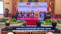 Chủ tịch nước Trần Đại Quang tại diễn đàn doanh nghiệp Việt Nam - Brunei và thăm bảo tàng hoàng gia Brunei