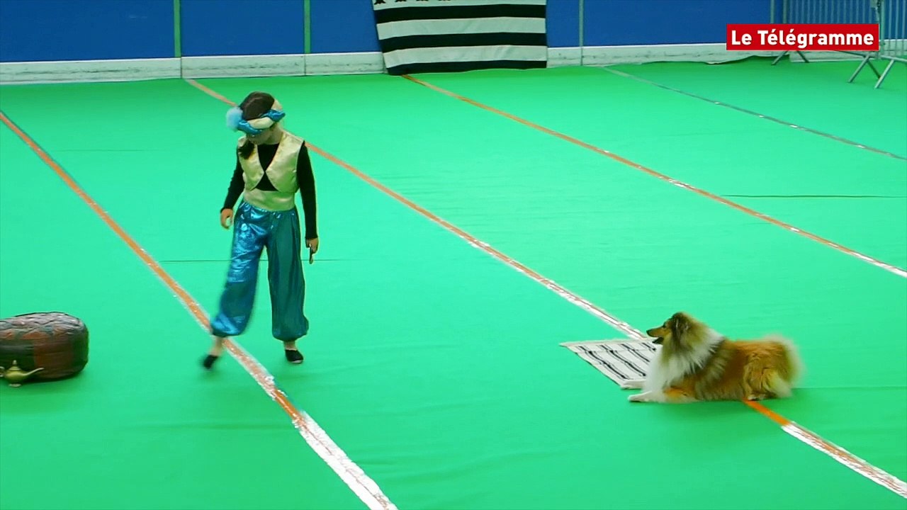 Ergué-Gabéric (29). Dog dancing : des chorégraphies qui ont du chien