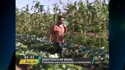 SP: Produtores e consumidores sofrem com o uso de agrotóxicos