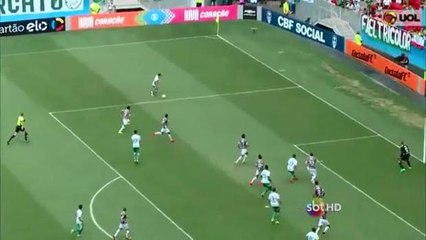 Palmeiras vence o Fluminense e se isola na liderança do Campeonato Brasileiro