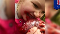 Anak memakan jantung mentah rusa buruannya, diposting ke Facebook - Tomonews