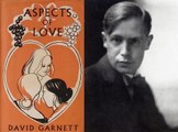 All Time Best Romantic Novels 37 Aspects of Love