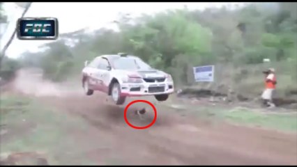 Rally Car Jumps Over A Lucky Dog!