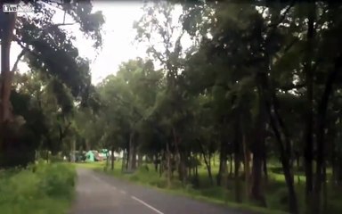 Orman'da kameraya takılan hayalet (dikkat +18)