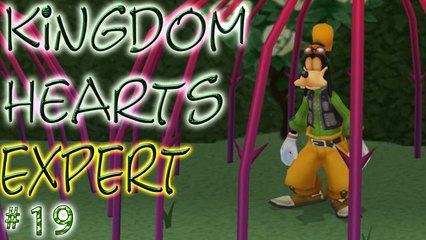 Kingdom Hearts ➲ Expert # 19 ➤ Wonderland Part 3 ➤ Get Them You Fools!