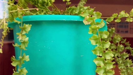 11 НАИЛУЧШИХ ЛАЙФХАКОВ ДЛЯ ШКОЛЫ