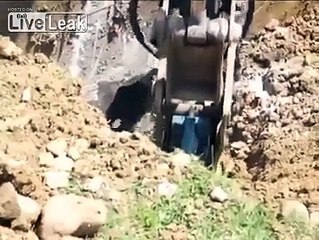 Un ours pris au piège délivré grâce à un marteau-piqueur